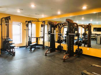 weights, fitness center, gym